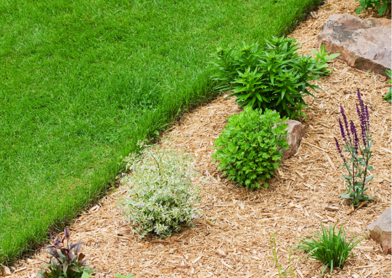 À Allauch, aménagement de jardin et location d’une benne bois