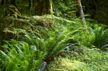 Nos prestations sur le secteur de Rognac