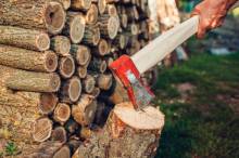 Notre zone d'activité pour ce service À louer benne pour évacuation de bois lourds et de troncs d'arbres